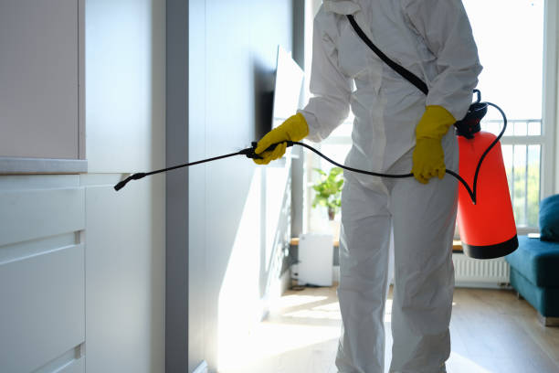 Best Certified Mold Removal  in Belterra, TX