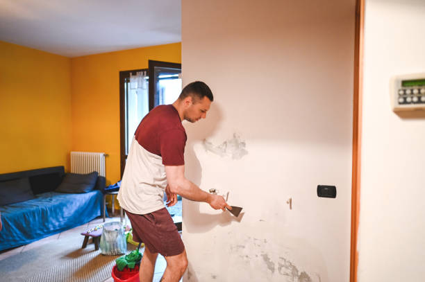 Best Certified Mold Removal  in Belterra, TX
